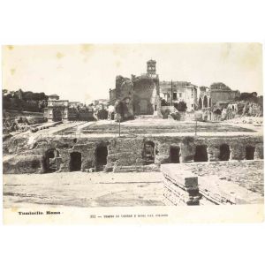 Colosseum View