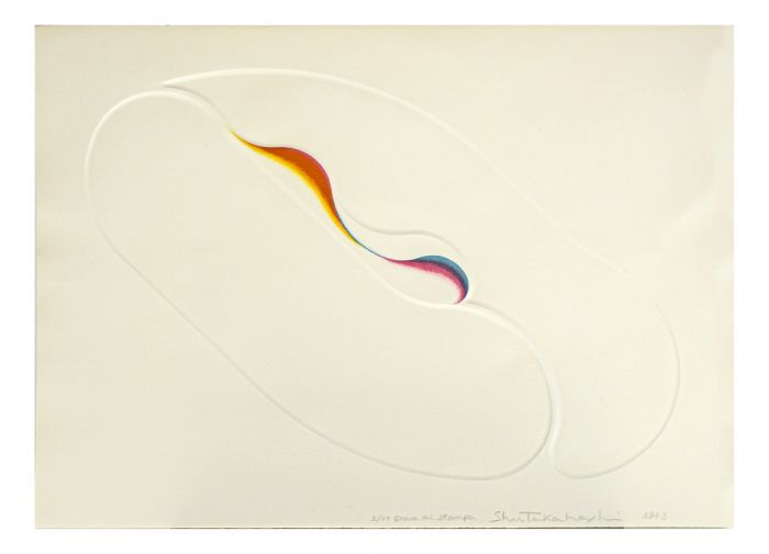 White Flight by Shu Takahashi - Contemporary Artwork
