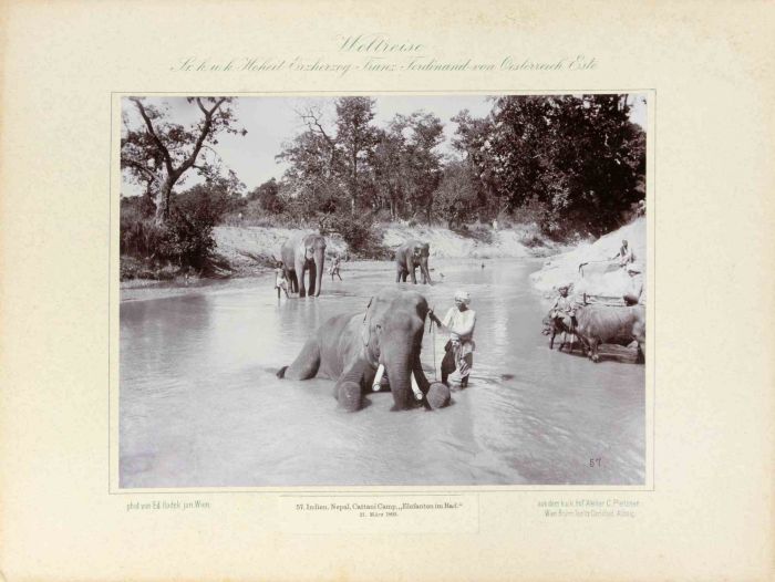 Indien - Nepal, Cattani Camp