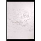 The Boy at the Sea