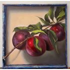 Plums