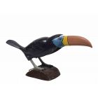 Toucan Brush