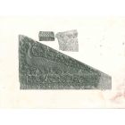 Peacock Relief-  Vintage Photo   