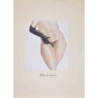 Patte de Velours