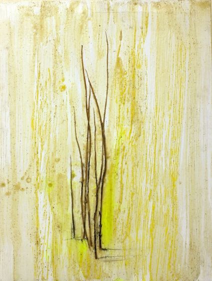 Grass Marks by Claudio Palmieri - Contemporary Artwork
