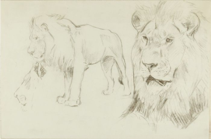 Foreground of a Lion by Wilhelm Lorenz - Modern Artwork