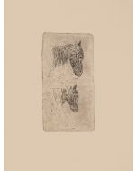  "Horse Head " by Giovanni Fattori - Modern Artwork