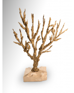 Soft Coral by Fero Carletti - Contemporary Artwork
