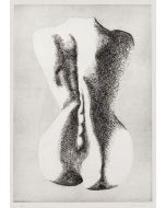 Woman from Shoulders