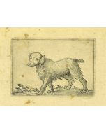Dog by Antonio Tempesta - Artwork 