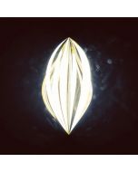aROUNDme 44