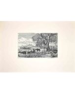 Shepherds with Buffalo in the Roman Countryside