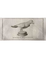 Animal Figures from Ancient Rome