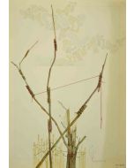 Composition