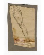 Male Figure