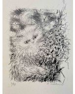 Sketch of Cat