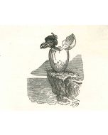 The Birth of the Bird