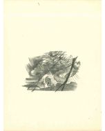 The Storm