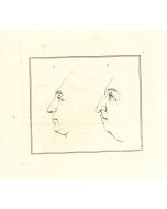 Portrait - The Physiognomy 