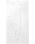 The Posing Nude  from Back