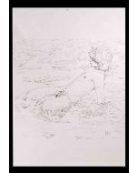 The Boy at the Sea