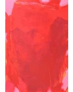 The Visible of the Invisible - Red Composition 