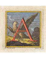 Letter of the Alphabet  A