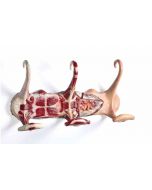 Simone Racheli - Coat Hangers - Decorative Object 