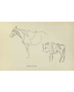 Horses