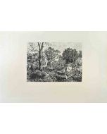 Foret de Fontainebleau