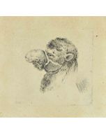 Stefano Della Bella - Head of Camel - Old Masters