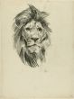 Head of lion and Tiger by Wilhelm Lorenz - Modern Artwork