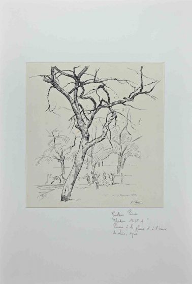 Trees
