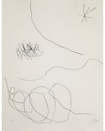 Journal D'Un Graveur - Vol. 2  Plate 13 by Joan Mirò - Surrealist Artwork