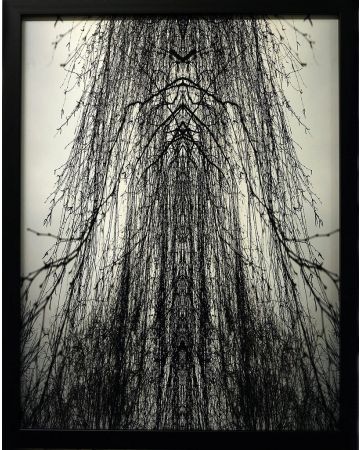 Cathedral by Claudio Palmieri - Contemporary Artwork