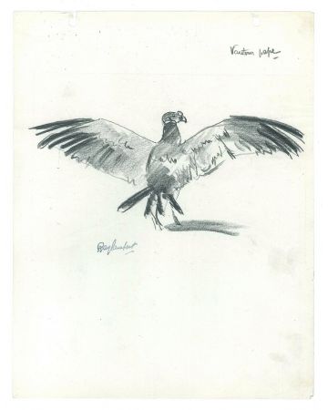 Vautour pape by Ray Lambert- Modern Artwork