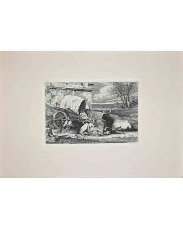 Bulls in the Roman Countryside