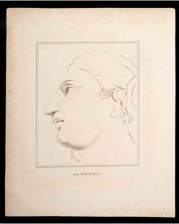 Portrait after Raphael