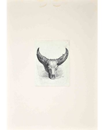 The Bull's Skull