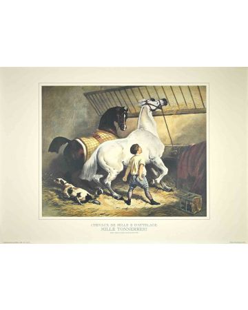 Chevaux de Selle et d'Attelage