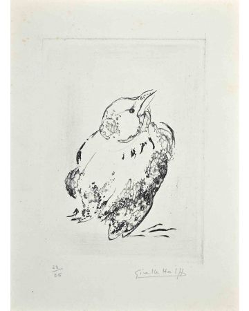 Pigeon