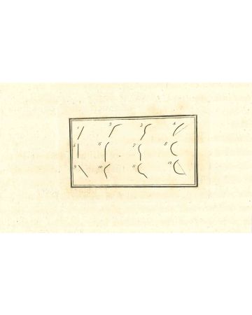 The Face's Lines - The Physiognomy  