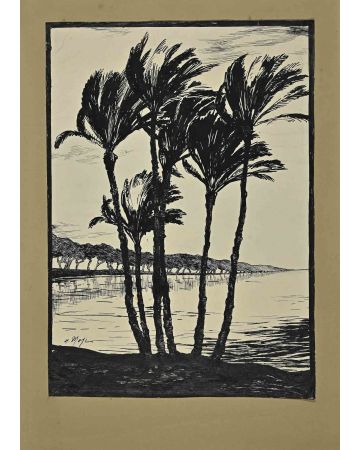 Palm Trees
