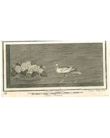 Ancient Roman Scene 