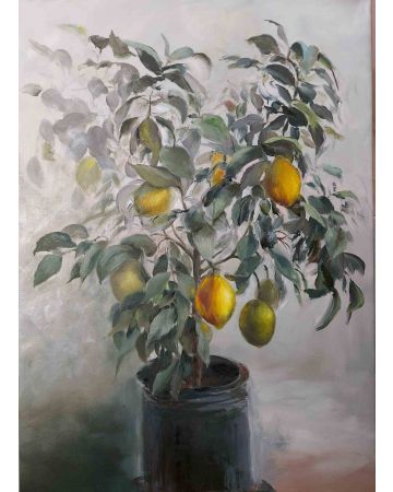 Lemon Tree