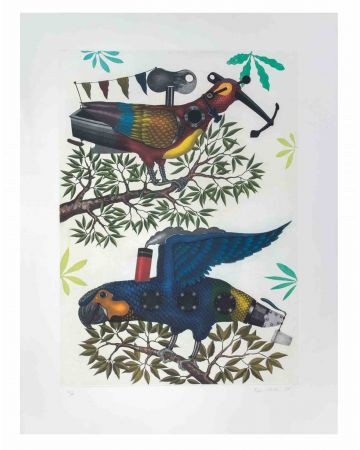 Parrots