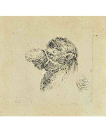 Stefano Della Bella - Head of Camel - Old Masters