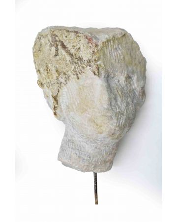 Head