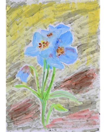 Anonymous - The Blue Poppies – Modern Artwork
