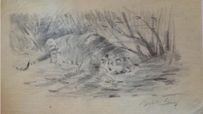 Tiger at rest by Wilhelm Lorenz